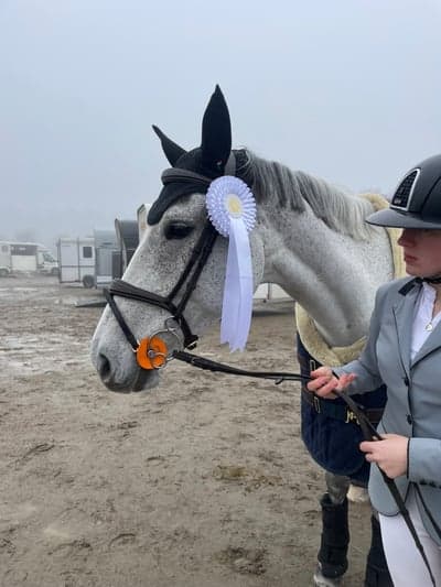 Inlägg 476 av Hoppning med titeln Milla I Högbo 