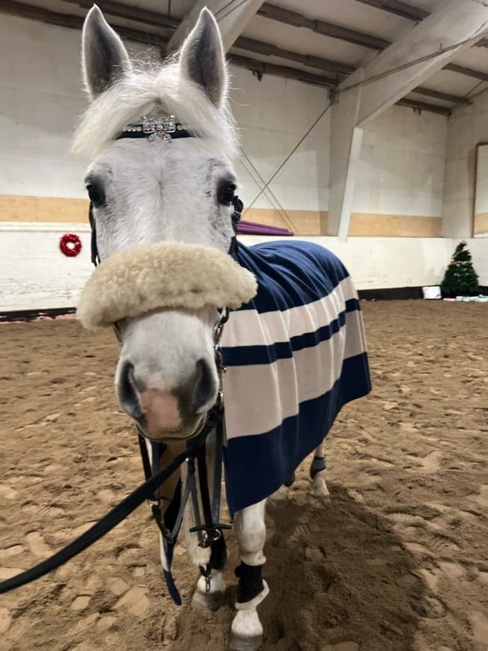 Media 1 av Bonmahon Lady