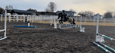 Inlägg 44 av Allround