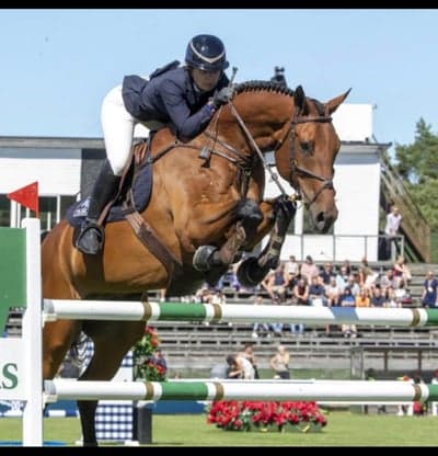 Inlägg 90 av Allround