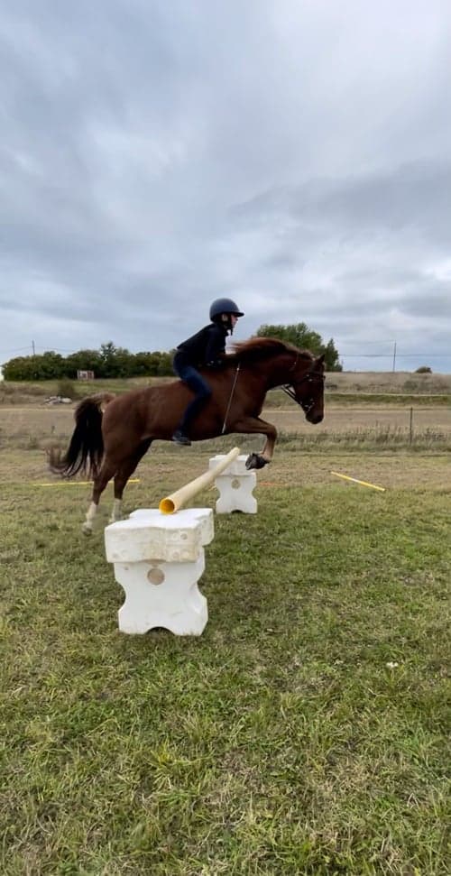 Image of Läromästare 