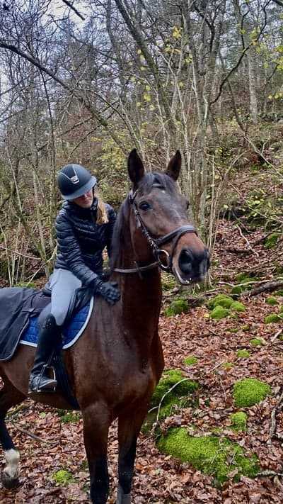 Inlägg 92 av Allround med titeln 🌟🌟 