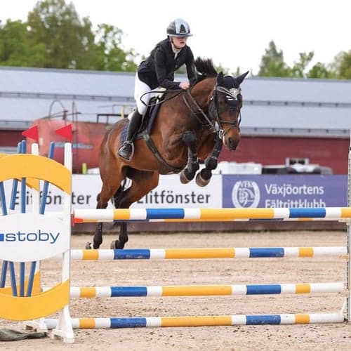 Profilbild av tindra liljegren