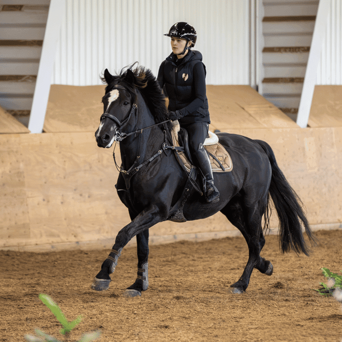 Media 6 av Dynamo Harry