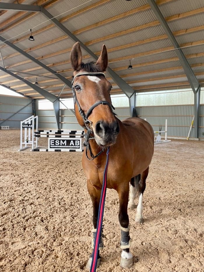 Media 1 av Philippa K