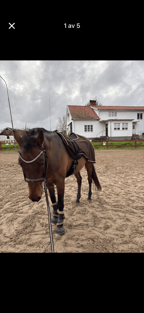 Media 7 av Poetic twice