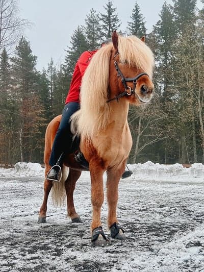 Inlägg 39 av Island med titeln ♥️🤍