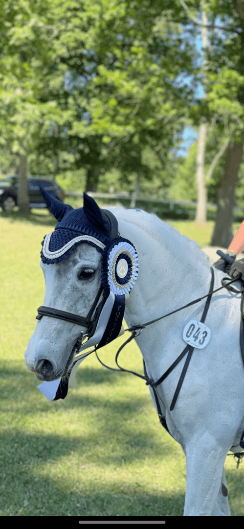 Media 1 av Banner bebo