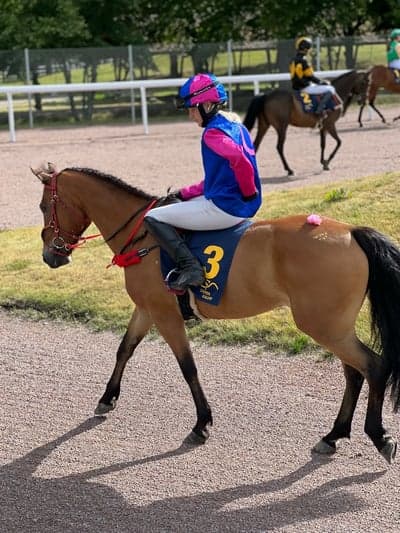 Minuette