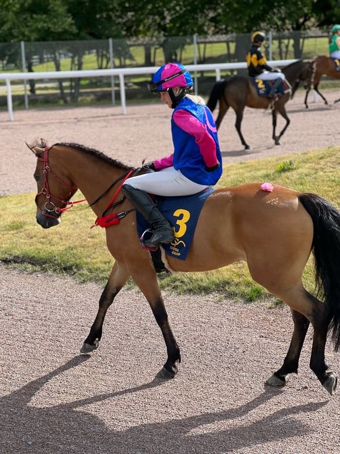 Media 1 av Minuette