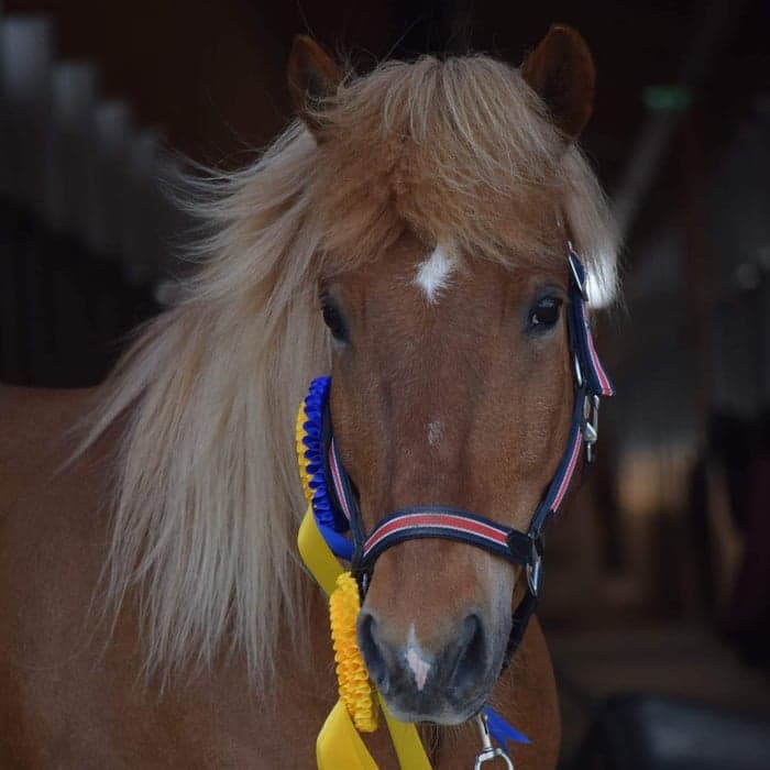 Media 1 av Viðar från Stormbo