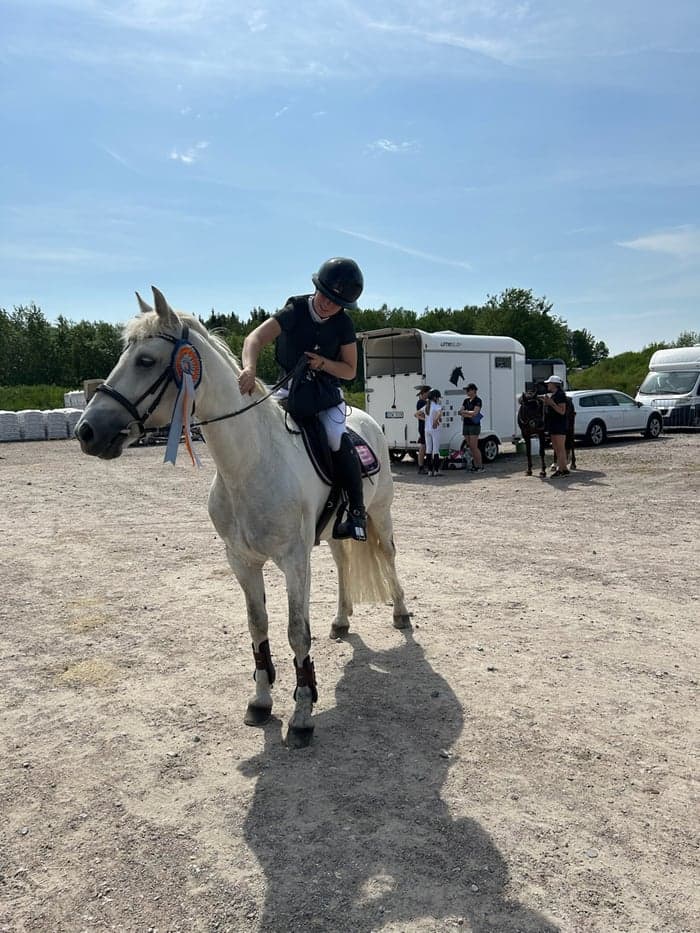 Media 2 av Darcy's Bride