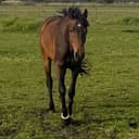 Profilbild av Kanzas Z