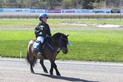 Ponnytrav 