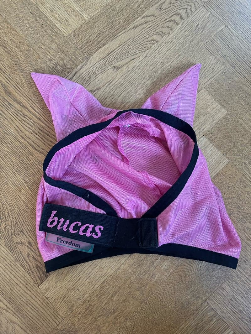 Bild 2 av Rosa flughuva