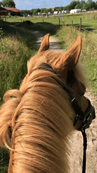 Inlägg 49 av Allround