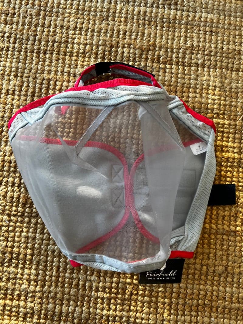 Bild 2 av Flughuva utan öron