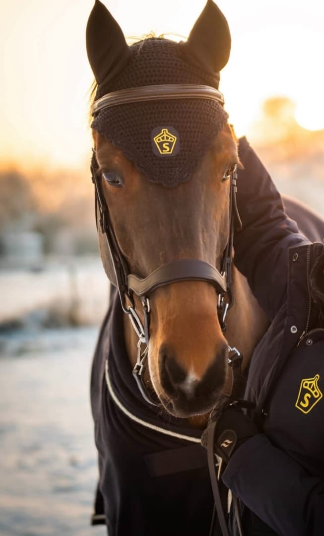 Image 1 of Ask for Amazon