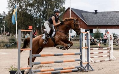 Inlägg 13 av Allround