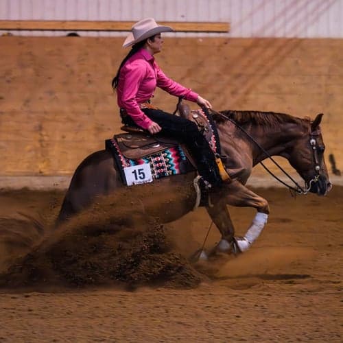 Profilbild av Birgitta Freter