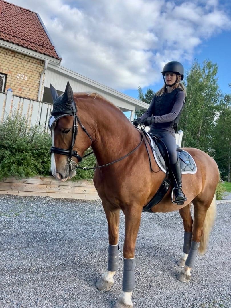 Bild 1 av Harry Hårdning