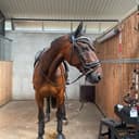 Profilbild av Ella Lassagård