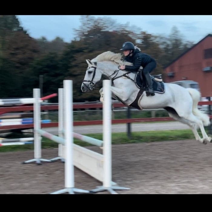 Media 1 of Quicksilver