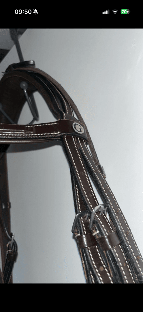 Bild 2 av Mörkbrunt träns