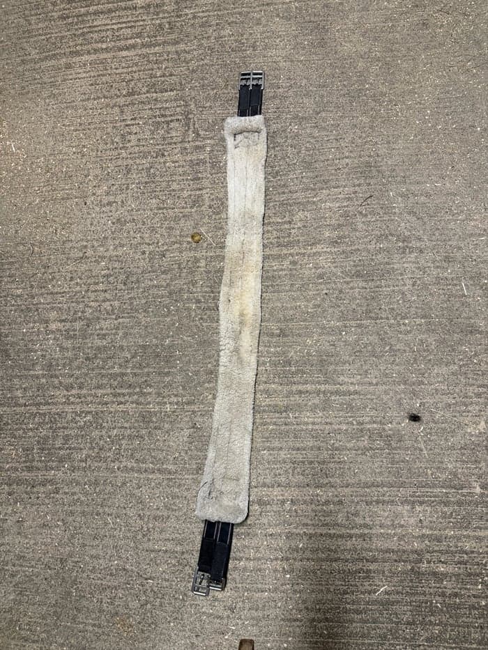 Media 2 av Svart sadelgjord 135