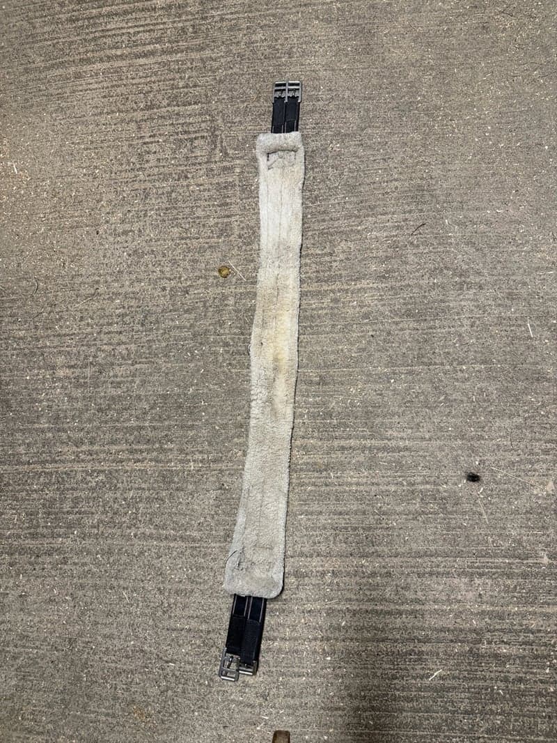 Bild 2 av Svart sadelgjord 135