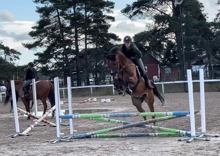 Media 1 av Pickpoket B De La Charmille Z