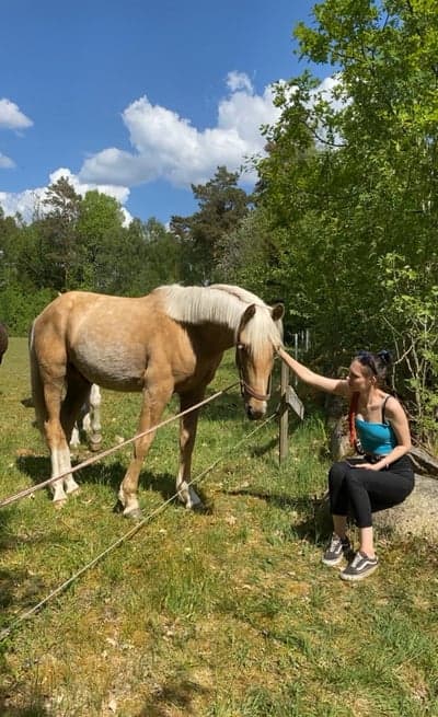 Inlägg 18 av Korsningshäst