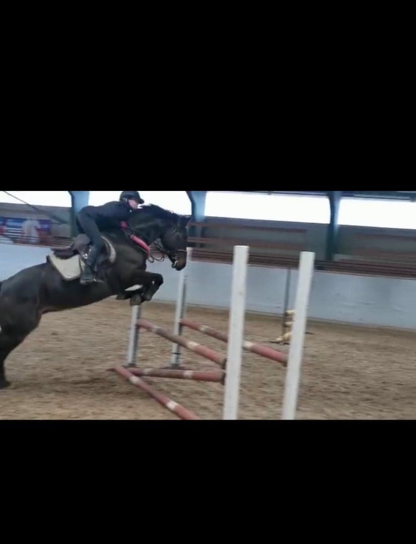 Bild 1 av Divine all star