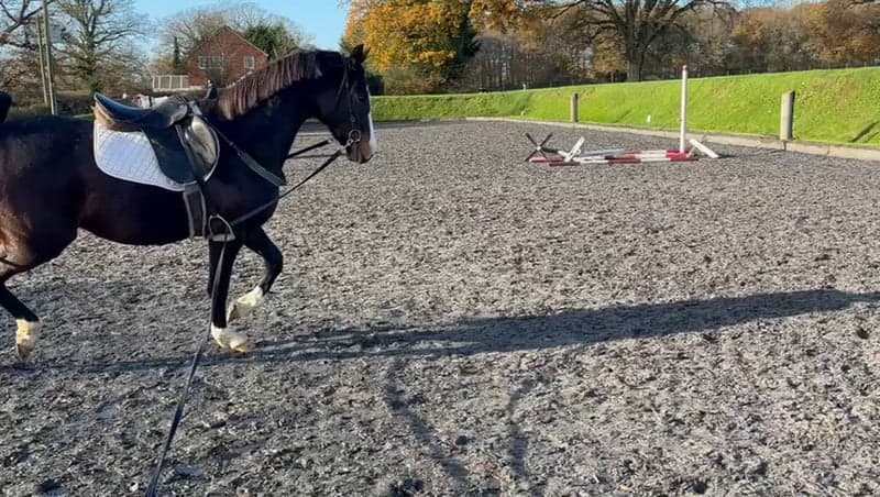 Bild 3 av Attraktivt sto