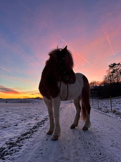 Inlägg 118 av Allround