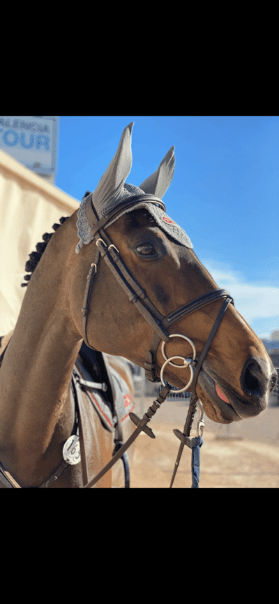 Post 17 of Kiger Mustang with title Cascara ❤️