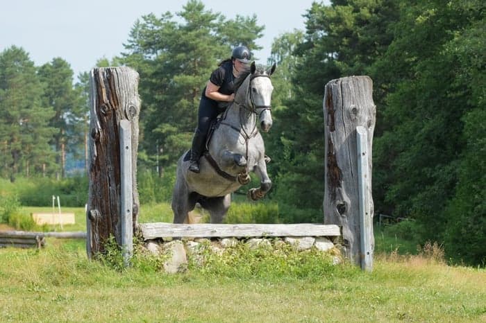 Media 1 av Lady Morgan