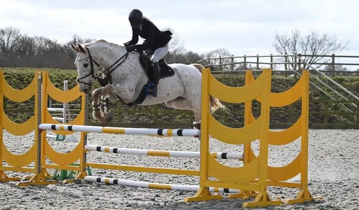 Media 2 av SLÅENDE ALLROUNDER, LIKA TALANGERAD OCH LÄTT SOM