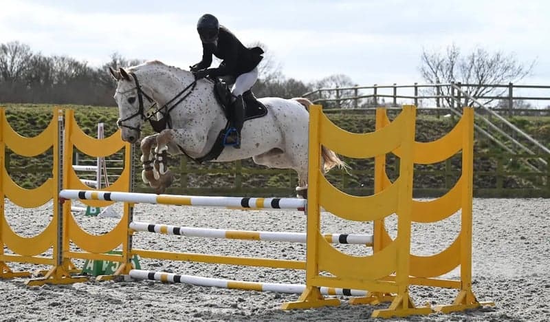 Bild 2 av SLÅENDE ALLROUNDER, LIKA TALANGERAD OCH LÄTT SOM