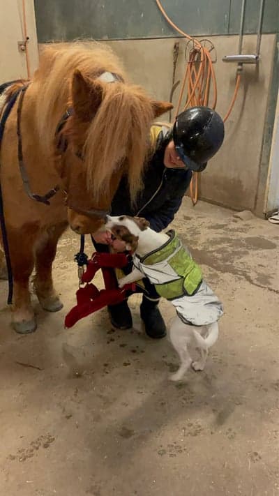 Inlägg 3 av Allround med titeln Pixi och Tin Tin