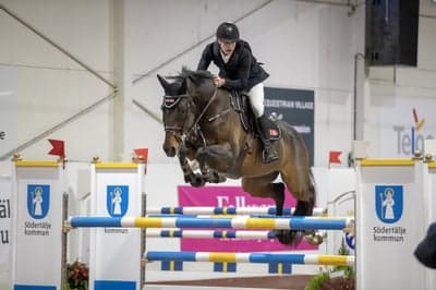 Inlägg 19 av Holsteiner med titeln GULD- inomhus-SM med Ingemar Hammarström 