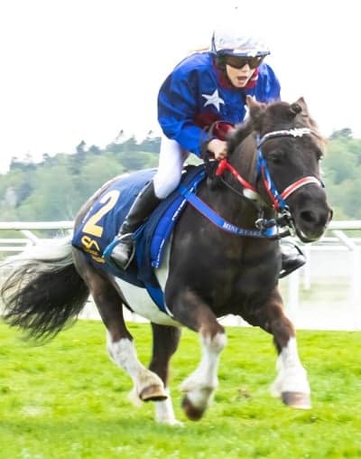 Inlägg 81 av Galopp med titeln Göteborg 🏇🏼 14/5