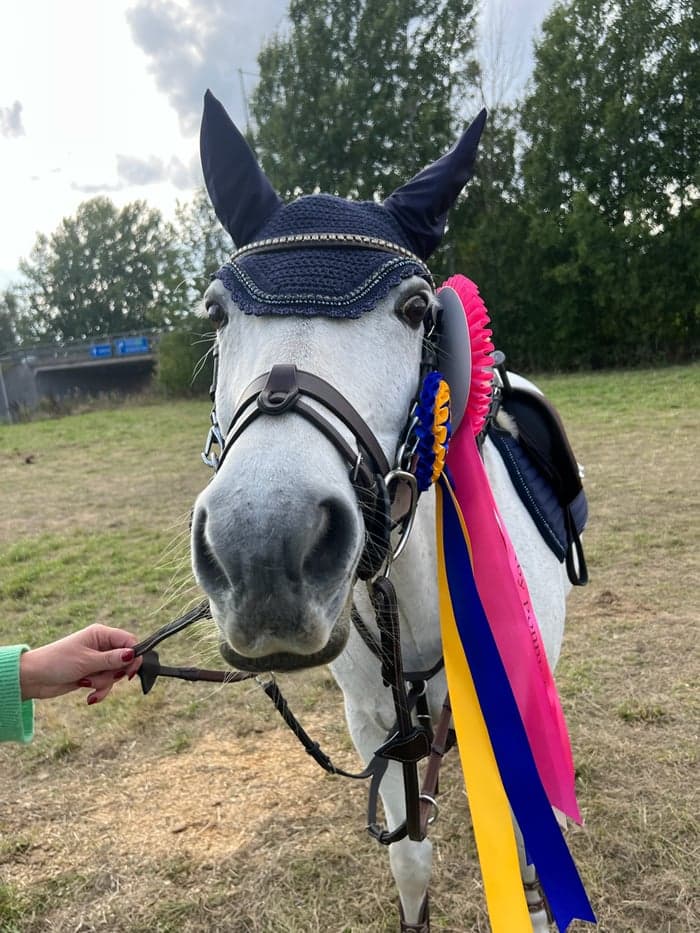 Media 1 av Whos Prinsess Lee