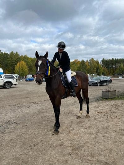 Inlägg 44 av Hoppning