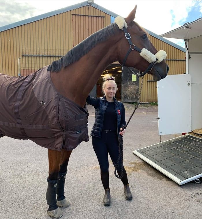 Media 6 av Swb valack