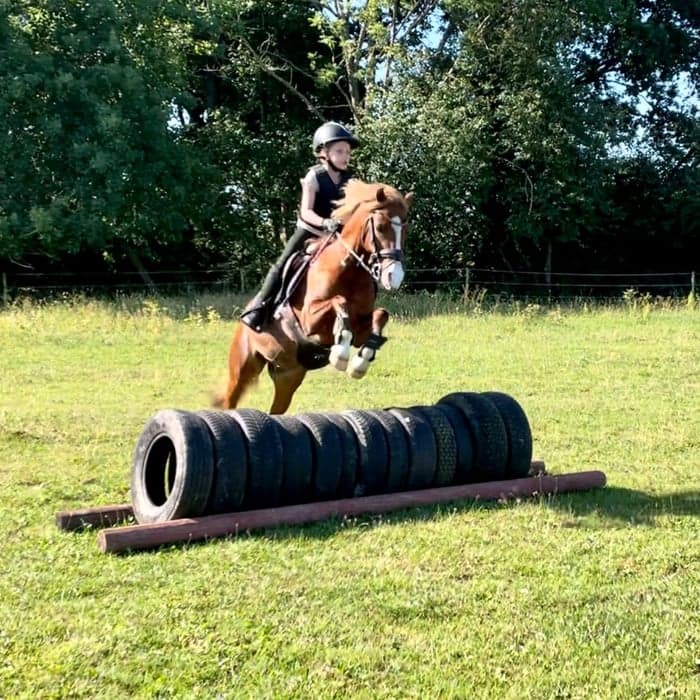 Media 1 av Melox Mirakel