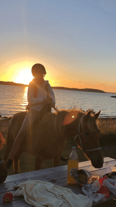 Inlägg 18 av Allround