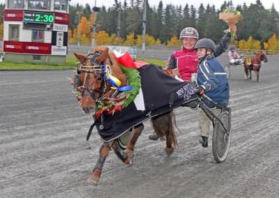 Inlägg 119 av Trav med titeln DPK’s ponnytravgala 