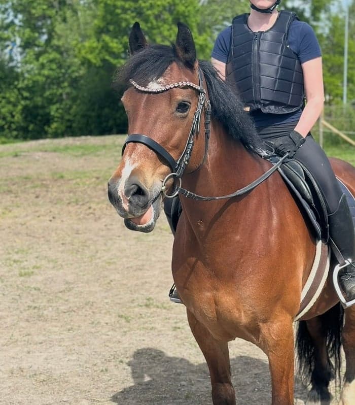 Media 1 of Sangrug Lidia