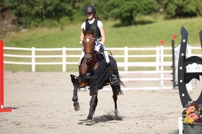 Inlägg 177 av Hoppning